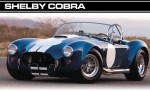 cobra