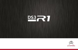 DS3 R1 06.2014 1